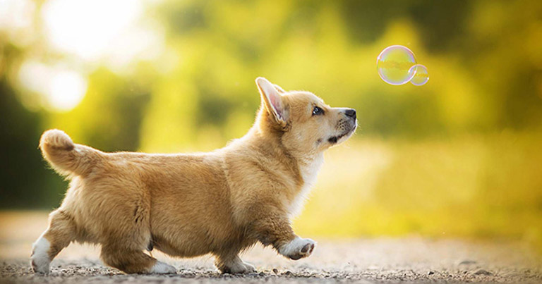 van menh nguoi sinh gio tuat