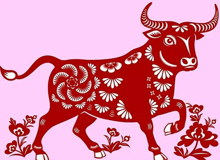 khai quat cuoc doi tan suu nam mang