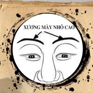 tướng mặt người lãnh đạo