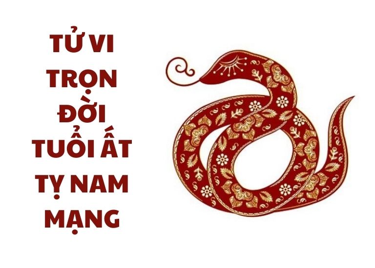 Tử vi trọn đời tuổi Ất Tỵ nam mạng cho biết cuộc đời họ sẽ gặp nhiều may mắn, cuộc sống được đầy đủ nhưng lại phải đối mặt với nhiều lo lắng, hậu vận được hưởng an nhàn.