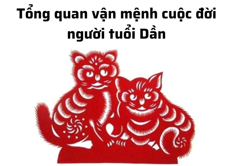 Tử vi cho thấy, tuổi Dần có khả năng kiếm được rất nhiều tiền, tài lộc dư giả, công danh thuận lợi nên cuộc sống luôn đủ đầy