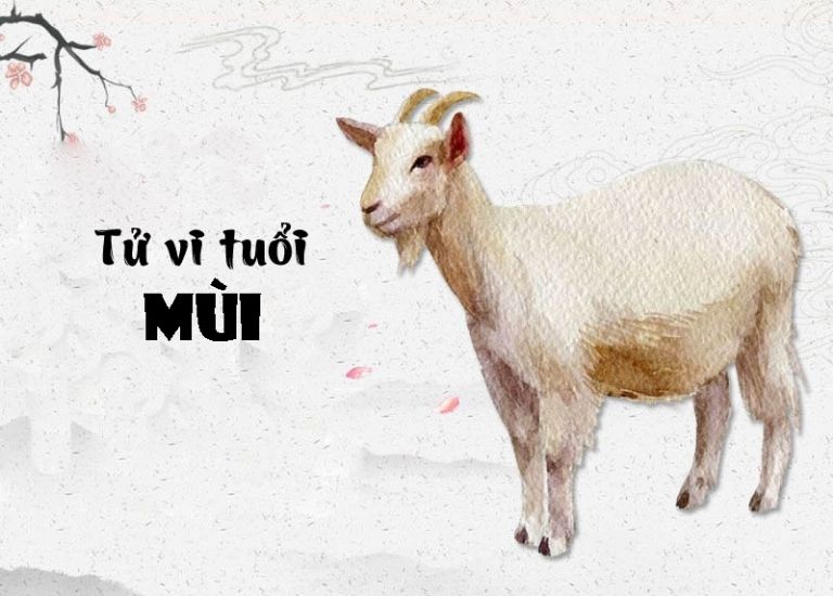 Tử vi năm 2023 dự đoán, những người tuổi Mùi sẽ gặp vận may không ổn định, có khi tốt và đôi khi xấu trong tất cả khía cạnh