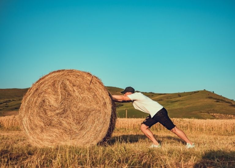 Tháng Giêng đầu năm 2023, bản mệnh tuổi Mùi được vui xuân cùng gia đình