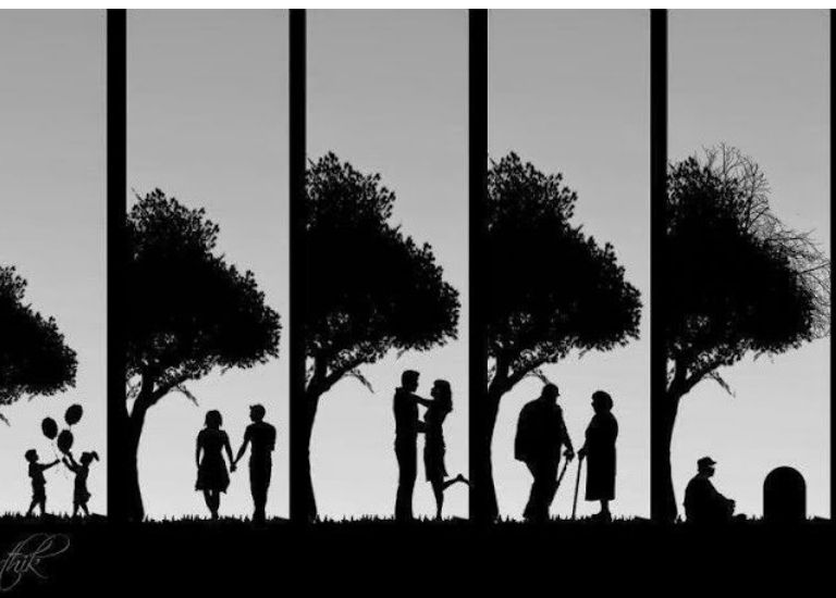 Tháng 6 là tháng mà bản mệnh tuổi Ngọ đón nhận được rất nhiều tin vui tích cực