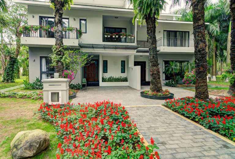 hoa giai nha o ngo cut