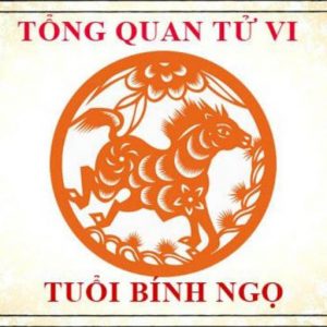 Tử vi tuổi Bính Ngọ Nam mạng