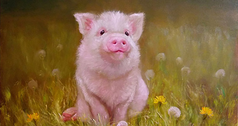 tong quan cuoc doi nguoi tuoi hoi