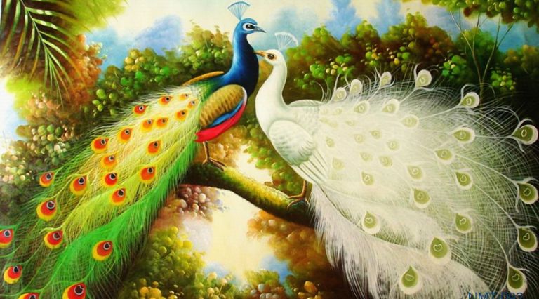 Những gia chủ mệnh Kim không nên bỏ qua bức tranh phong thủy có chủ đề về Chim Công vì nó sẽ đem đến vượng khí và tài lộc cho gia đạo.