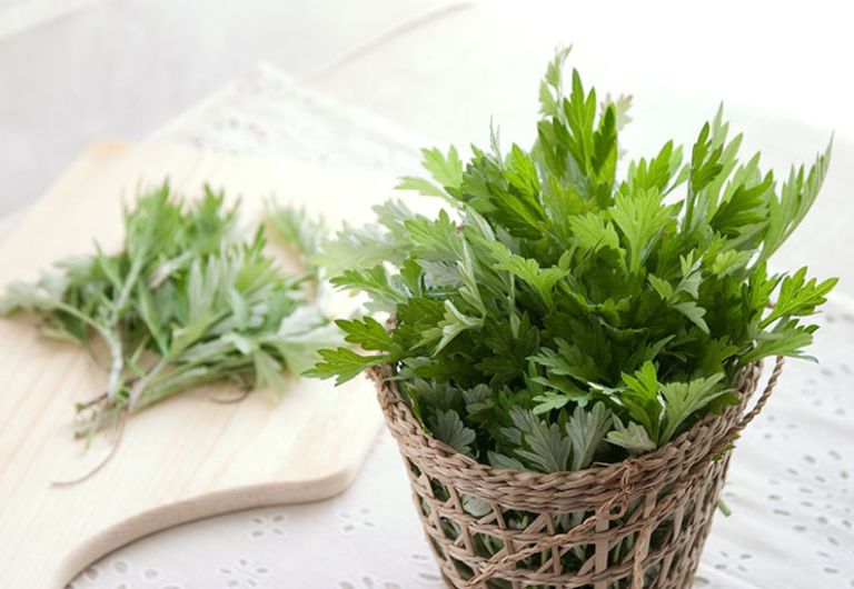 Ngải cứu được là thứ cỏ thần sở hữu khả năng trừ tà, xua cái lạnh lẽo ẩm thấp, khử chướng khí và góp phần tinh lọc bách độc.