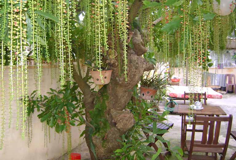 kieng ky trong phong thuy nha o