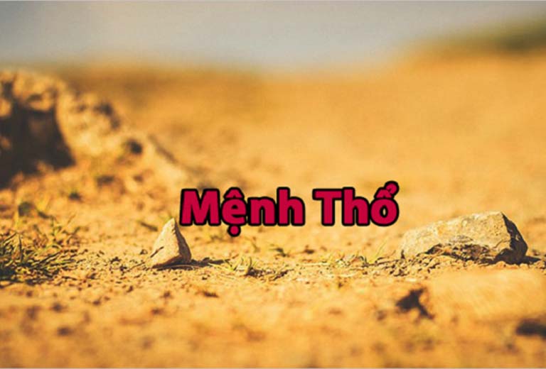 nguoi menh tho sinh nam nao