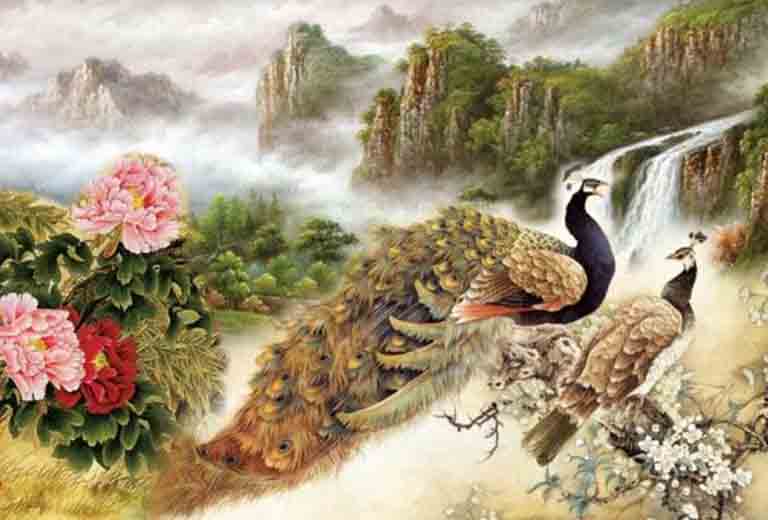 Tranh phong thuy chim cong