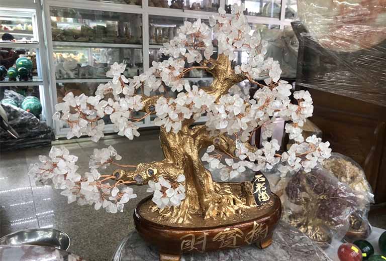 cay tai loc hop menh thuy