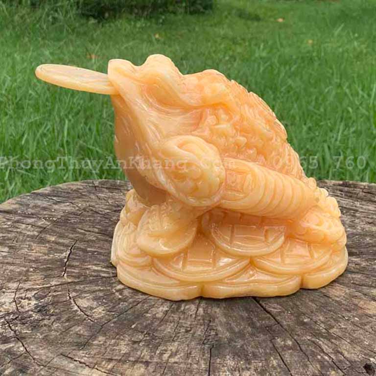 coc ngam tien phong thuy