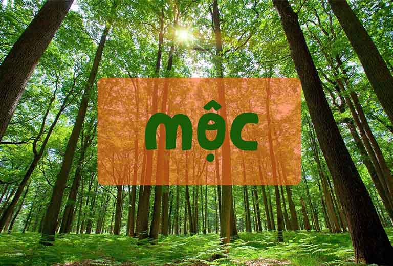 nguoi menh moc sinh nam nao