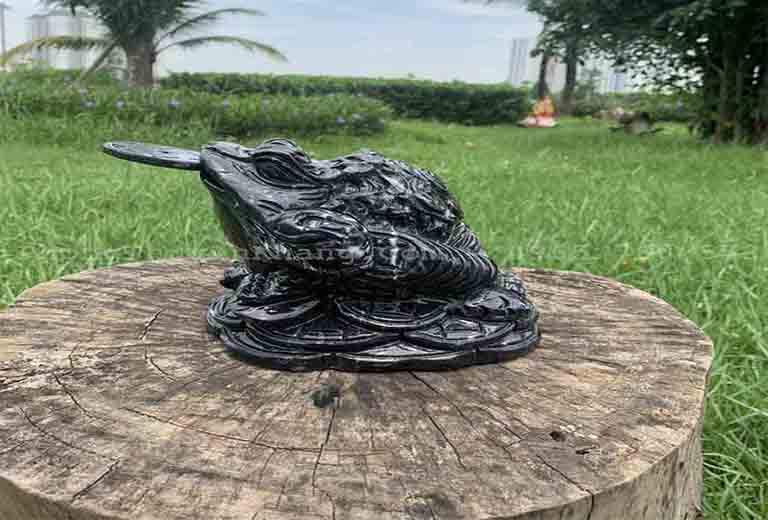 thiem thu phong thuy