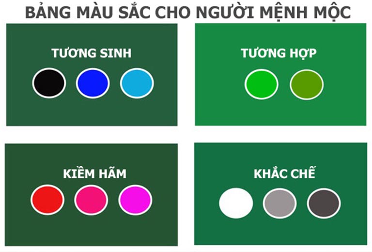 mau sac phong thuy nha o tuoi quy suu 1973