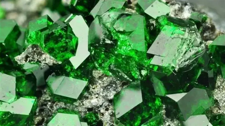 Tuổi Nhâm Tý 1972 mang mệnh Tang Đố Mộc tương sinh với mệnh Thủy nên chọn đá có màu đen, xanh nước biển để tương hợp chọn đá màu xanh lá cây