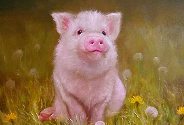 thong tin chung ve tuoi quy hoi 1983