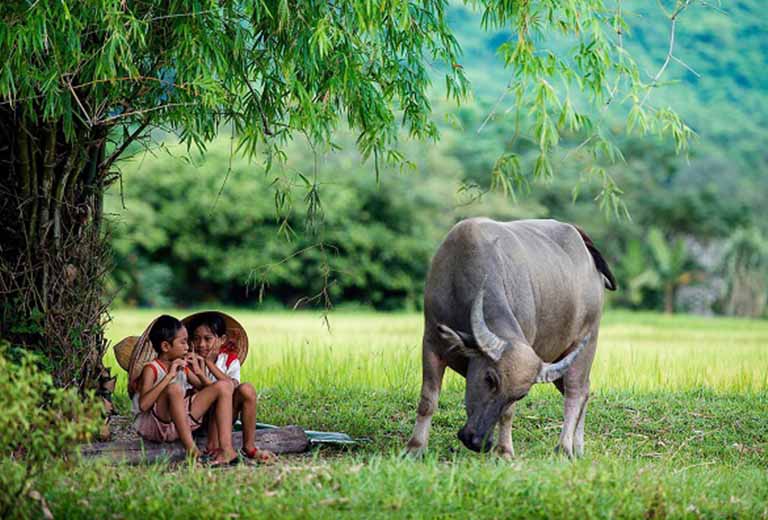 thong tin co ban tuoi suu