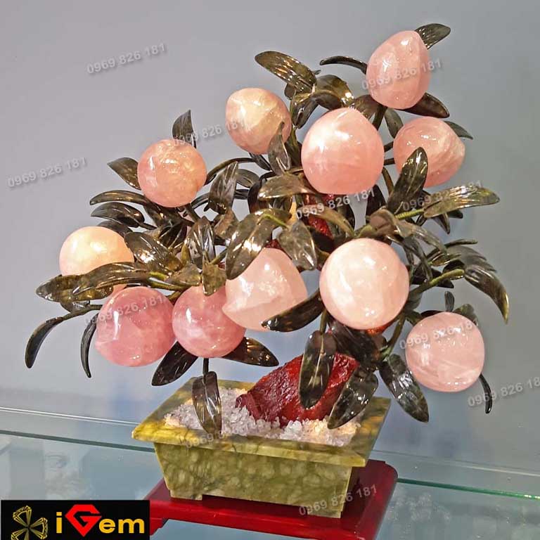 cua hang da quy iGem 