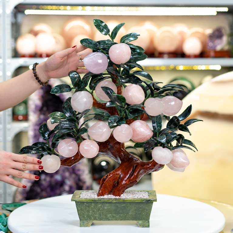 dia chi ban cay dao phong thuy